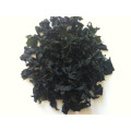 Exportar Kosher Dark Green Grade ABC wakame SML Tamaño secado de algas marinas Chuka Wakame seco (algas marinas)